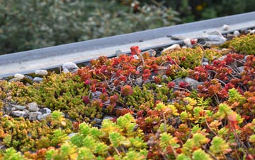 the cost of Scropton green roof installation