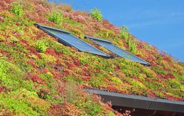 Scropton living roof systems