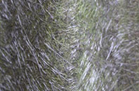 Scropton fibreglass roof work